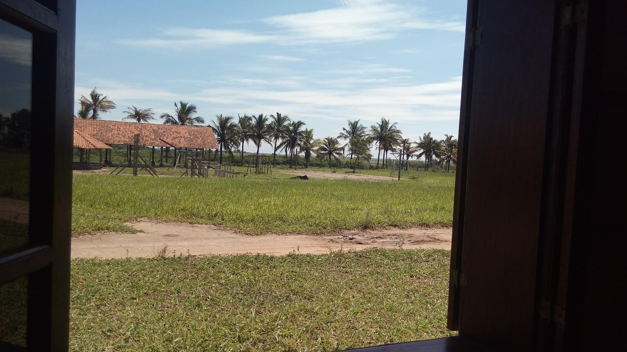 Fazenda Sao Felipe Bed & Breakfast Sao Francisco de Itabapoana Bagian luar foto